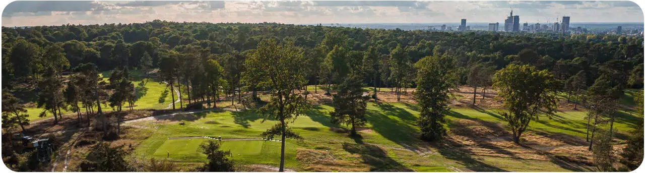 the-addington-drone2